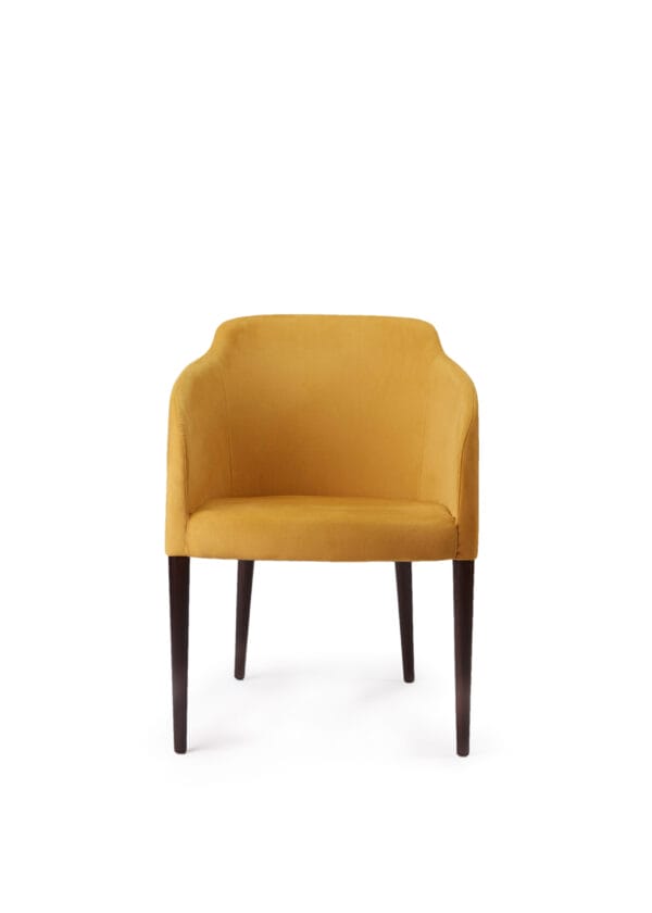 IMG_5075-scaled-1.jpg IMG_5075-scaled-1.jpg