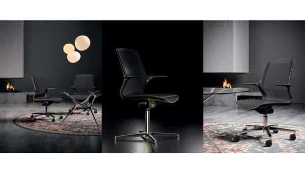 OVIDIO-ENGd.jpg OVIDIO-ENGd.jpg