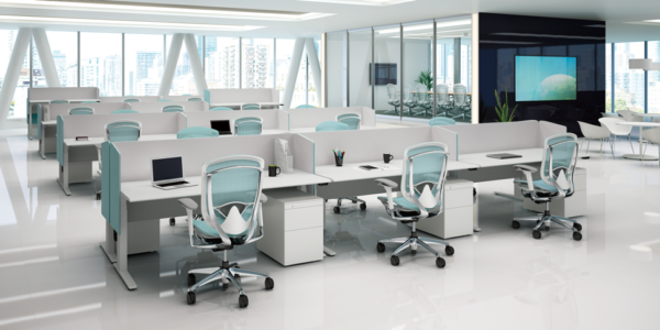 contessa2_im01 contessa2_im01