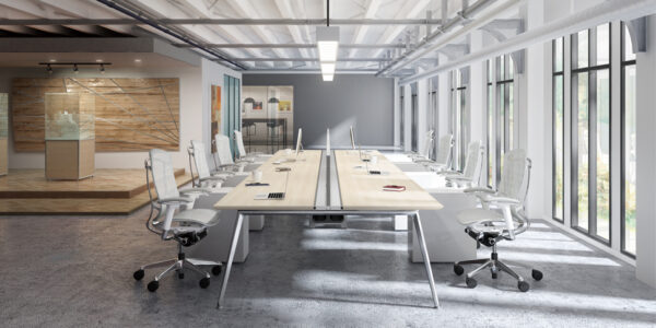 contessa2_im02 contessa2_im02