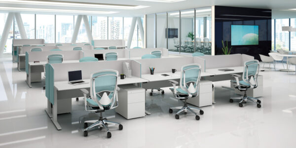 contessa2_im03 contessa2_im03