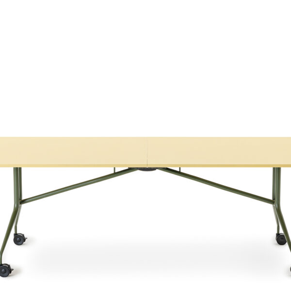 mara-argo-libro_01-1